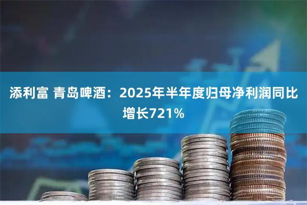 添利富 青岛啤酒：2025年半年度归母净利润同比增长721%