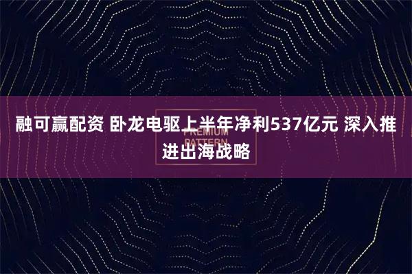 融可赢配资 卧龙电驱上半年净利537亿元 深入推进出海战略
