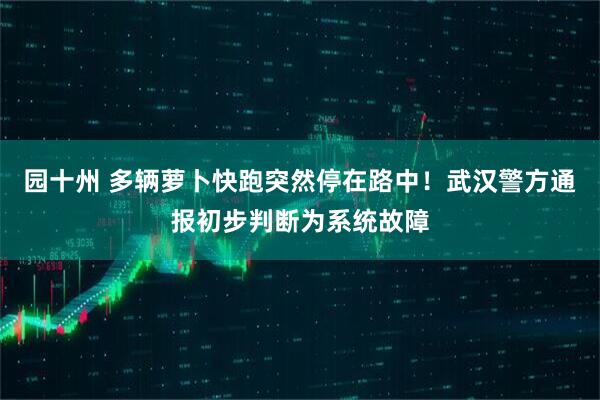 园十州 多辆萝卜快跑突然停在路中!武汉警方通报初步判断为系统故障